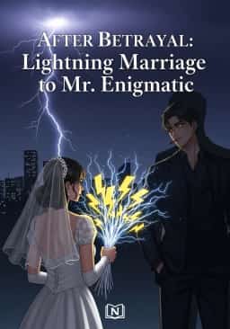 After Betrayal: Lightning Marriage to Mr. Enigmatic