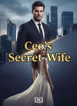 Ceo's Secret Wife novel cover