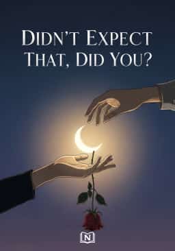 Didn’t Expect That, Did You? novel cover