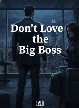 Don't Love the Big Boss novel cover