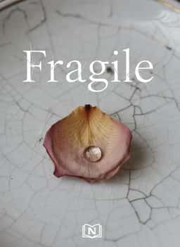 Fragile novel cover