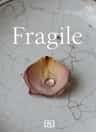 Fragile