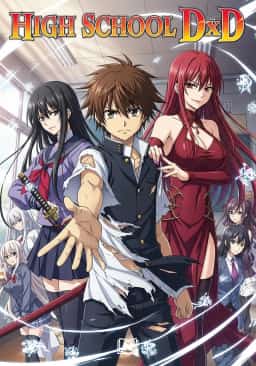 High School DxD novel cover