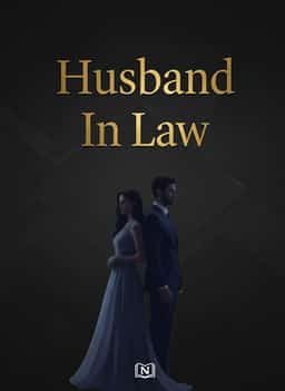 Husband In Law novel cover