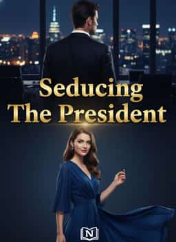 Seducing The President novel cover