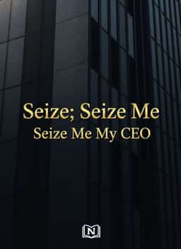 Seize; Seize Me My CEO novel cover