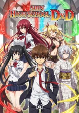 Shin High School DxD novel cover