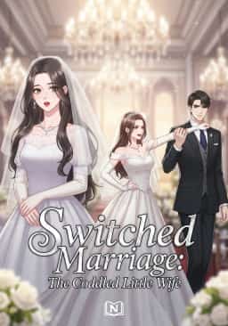 Switched Marriage: The Coddled Little Wife novel cover