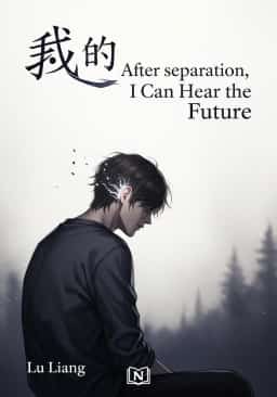 After Divorce, I Can Hear the Future novel cover
