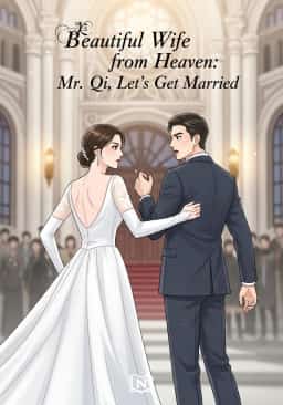 Beautiful Wife from Heaven: Mr. Qi, Let’s Get Married novel cover