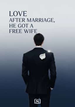 Love After Marriage, He Got A Free Wife novel cover