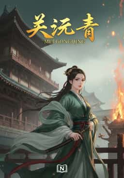 Mei Gongqing novel cover