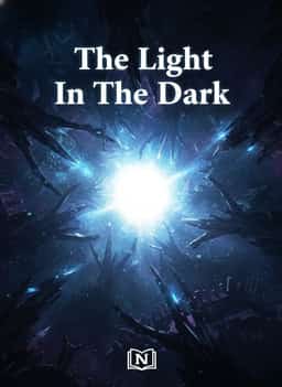 The Light In The Dark novel cover