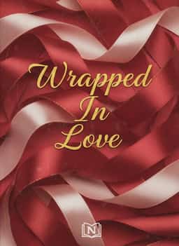 Wrapped In Love novel cover